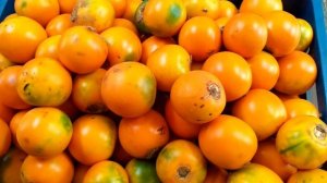 Необычные Экзотические Фрукты Колумбии #экзотическиефрукты