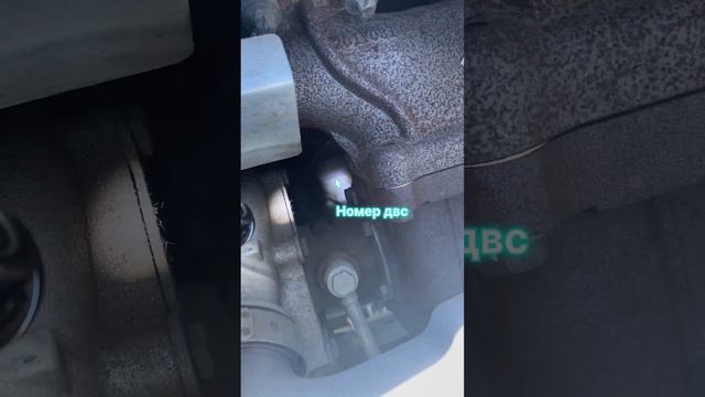 Где находится номер двигателя на Sitruk модель двс MC13.48-50 #двс #sitrak #автомобили #двигатель