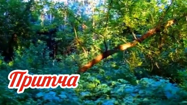 Притча. Покаяние. смотреть онлайн