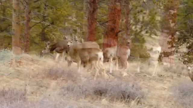 Destroy Unconscious Blockages And Negativity, 396hz Solfeggio, Binaural Beats