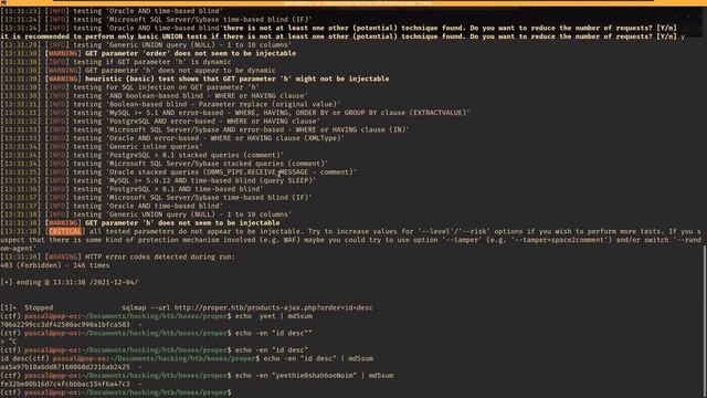Advanced SQLi: sqlmap and eval function смотреть онлайн