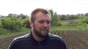 окучивание картошки мотоблоком МТЗ с дисковым окучником