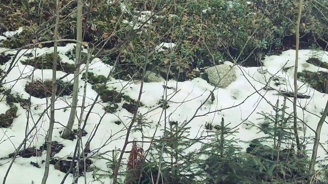 СКАЗОЧНОЕ КОРОЛЕВСТВО смотреть онлайн