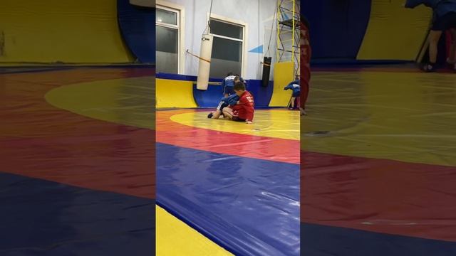 День борьбы?? поборолся в разной весовой и возрастной категории #самбо #спортдети #самбист смотреть онлайн