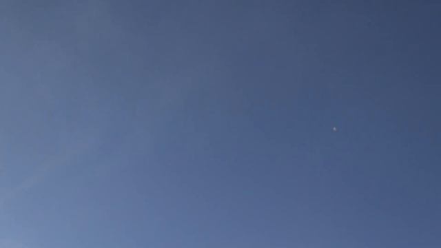 Первый мороз, Попугаи и Голуби. смотреть онлайн