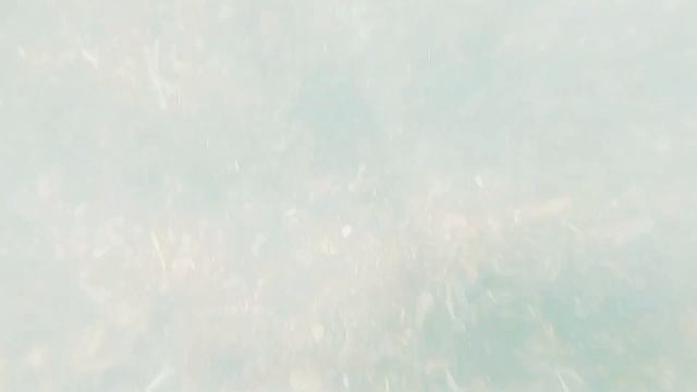 Заплыв в Персидском заливе) смотреть онлайн