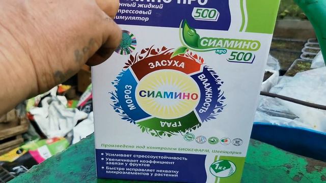 всходы при экстремальных температурных условиях/обработка смотреть онлайн