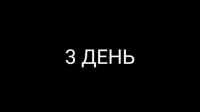 3 день. 3 января 2024 года. смотреть онлайн