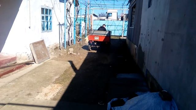 Запуск муравья после зимнего простоя смотреть онлайн