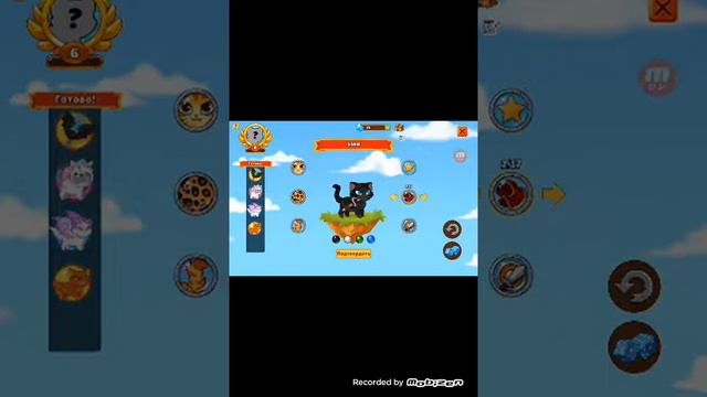 Играем в кестли кетс смотреть онлайн