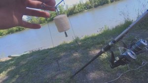 Рыбалка на толстолобика, работал только один вкус планктона. На что ловить толстолобика? #рыбалка