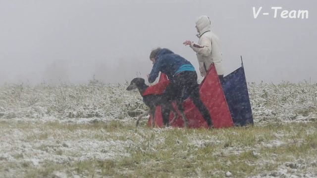 Слюги на CACIL 2019 (Курсинг на Ярославке) под песню "Снегом стать". смотреть онлайн