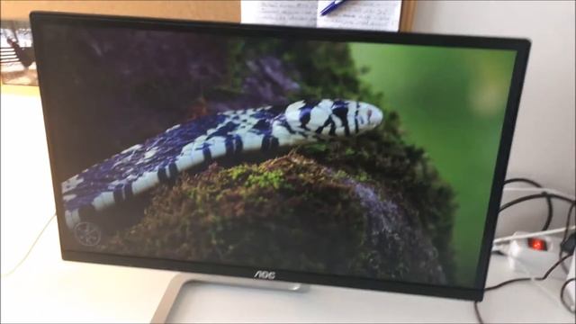 Recenze l Monitor AOC I2281FWH смотреть онлайн