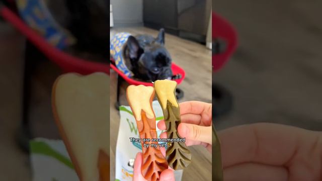 Say goodbye to stinky dog breath, thanks to WHIMZEES by 🐶😷#WHIMZEESbyWellness dental chews are made смотреть онлайн