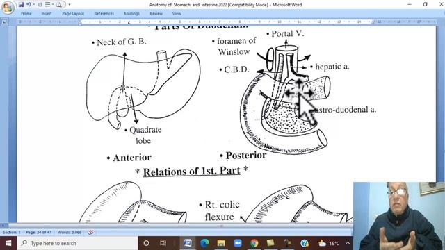 Anatomy GIT Module in English ( Duodenum , part 1 ) , by Wahdan смотреть онлайн