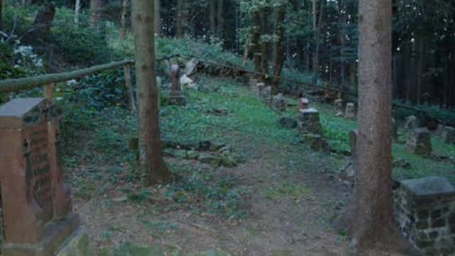 "Nordic Night Walker" / "New Beach" смотреть онлайн