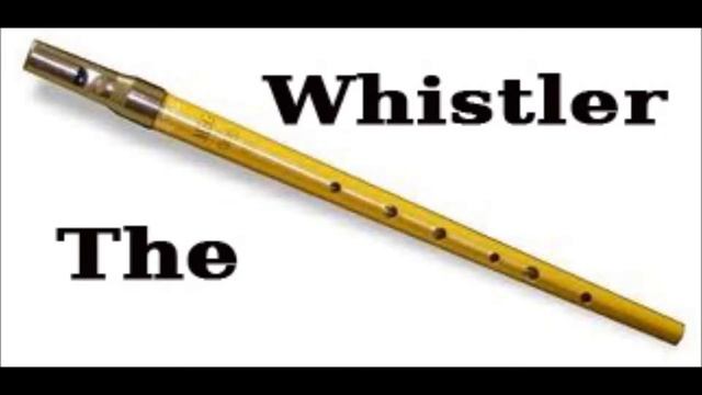 Candy Shop (50 Cent) - Tin Whistle Cover смотреть онлайн