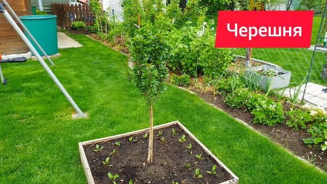 ДАЧА РУССКИХ В ГЕРМАНИИ.Полный обзор.Бавария.Schrebergarten in Deutschland. Жизнь в Германии. смотреть онлайн