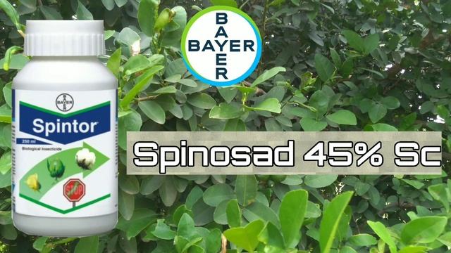 Spintor Insecticide || Bayer || Spinosad 45%Sc ||