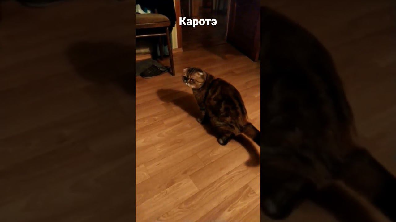 24 октября 2022 г. смотреть онлайн