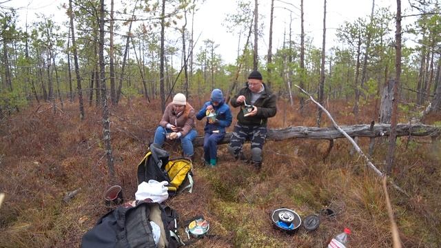 VLOG с ароматом багульника. С детьми за клюквой на болото Старуха. смотреть онлайн