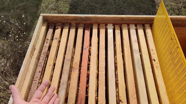 УЛЕЙ ЛЕЖАК КЛАССНЫЙ УЛЕЙ ВСЁ ПРО НЕГО лучший улей для стационара КАКИЕ ПЛАНЫ НА СЕЗОН✅☝️? смотреть онлайн