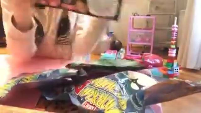 Маша открывает игрушки Морские гиганты и Ко. , Ястребы и Ко., Лягушки и Ко.(DeAgostini) смотреть онлайн