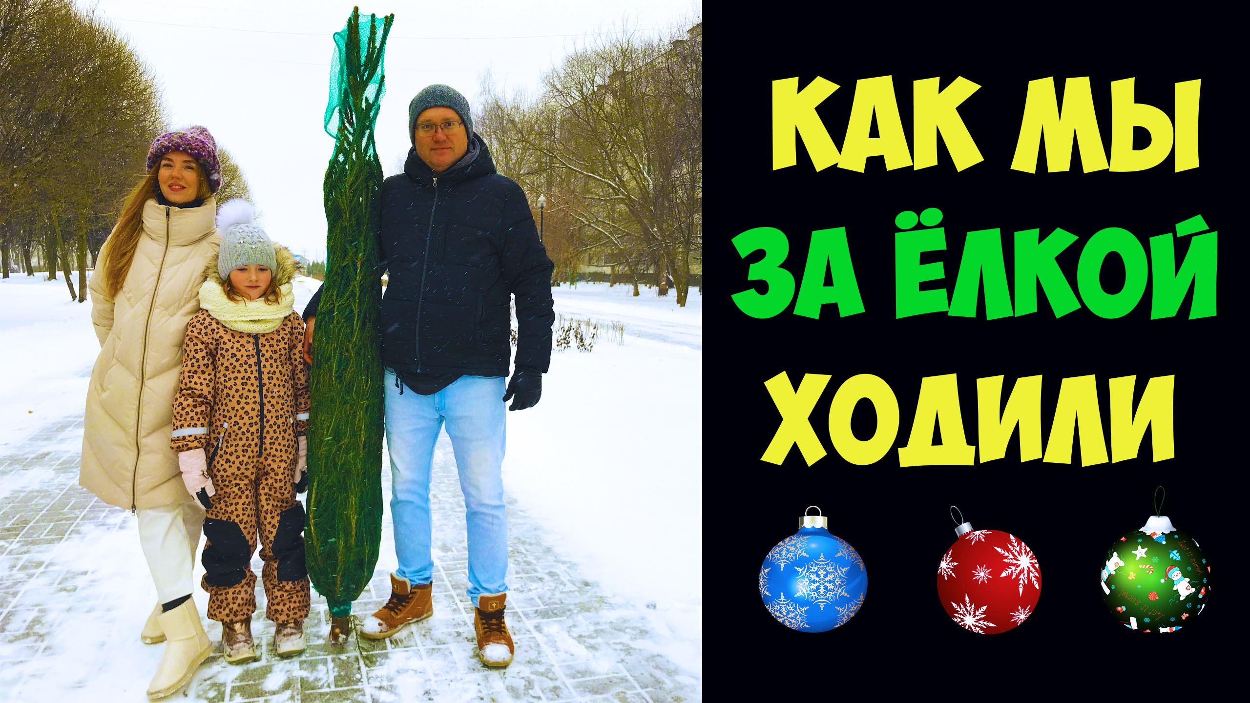 ИСКУССТВЕННАЯ ИЛИ ЖИВАЯ - ЧТО ВЫБРАТЬ? ОБЗОР ЦЕН НА ЁЛКИ НАКАНУНЕ НОВОГО ГОДА! смотреть онлайн