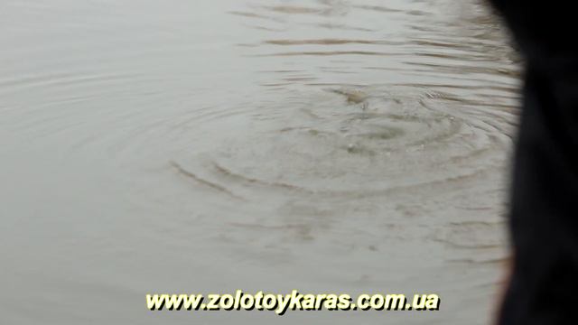 Признак качества  Обзор воблеры Pontoon 21 Preference