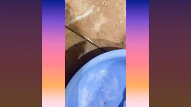 Как сделать лизун из 4 ингредиентов 😱😱😱🤗 смотреть онлайн