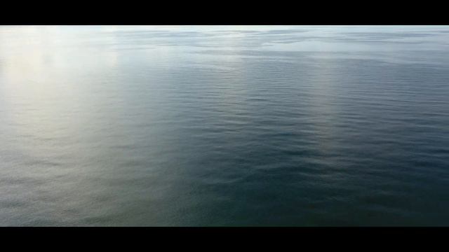 Gizemli Olaylar | Rusya'nın Casus Balinası | Norveç'te Bulunan Casus Balina Hvaldimir смотреть онлайн