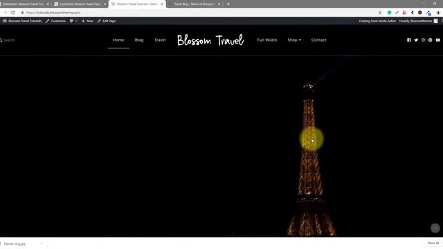 How to Configure Banner Section? | Blossom Travel WordPress Theme смотреть онлайн