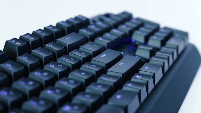 Razer BlackWidow Elite | Краткий обзор ⌨️