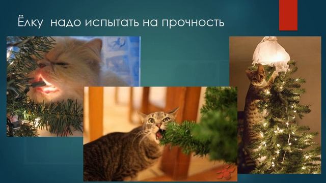 Новогодние приколы ЁЛКА смотреть онлайн