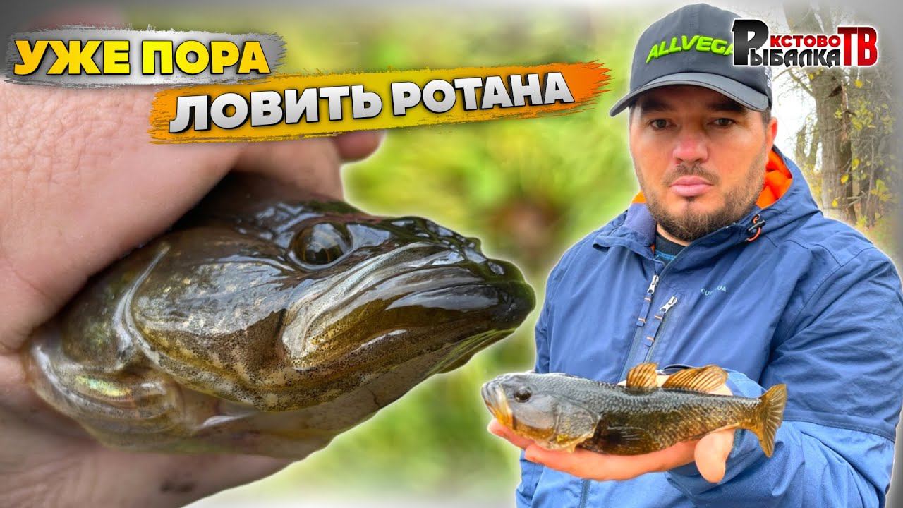 Многие боятся и брезгуют ловить эту страшную рыбу ротан. смотреть онлайн