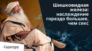 Шишковидная железа - наслаждение гораздо большее, чем что-либо еще.
