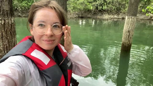 Затонувший лес в Ала-Арчинском водохранилище. смотреть онлайн