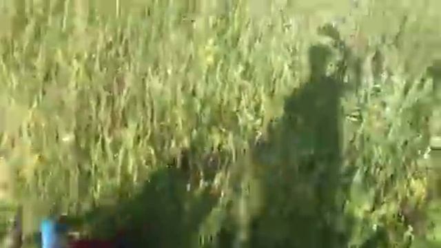 Минитрактор из мотоблока Нева Роторноя косилка в работе смотреть онлайн