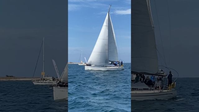 Парусная регата смотреть онлайн