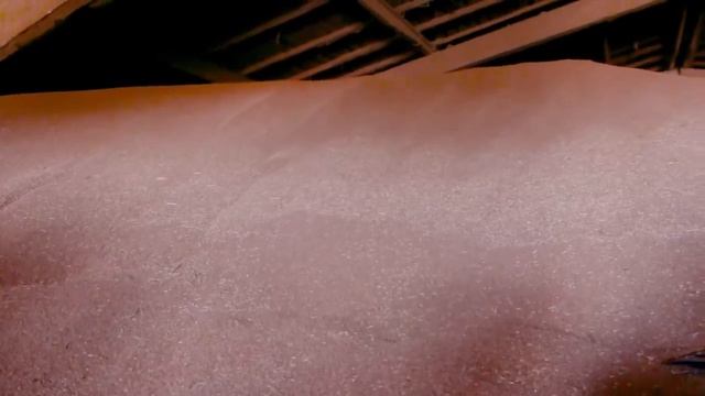 Марафон Valtra: от Сахалина и Камчатки до Эльбруса и торфяников Калининграда.