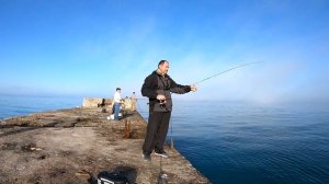 Рокфишинг на Черном море. Попали на клев крупной ставриды.