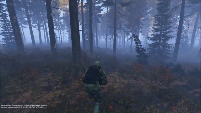 DayZ Standalone Gameplay | Forest Gunfight смотреть онлайн