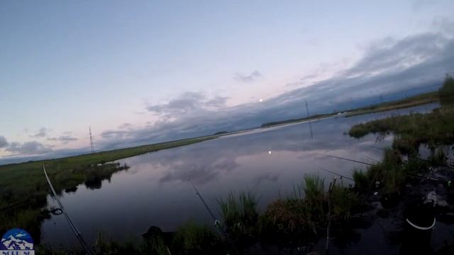 Ночная рыбалка на Карася (2 ночь) смотреть онлайн