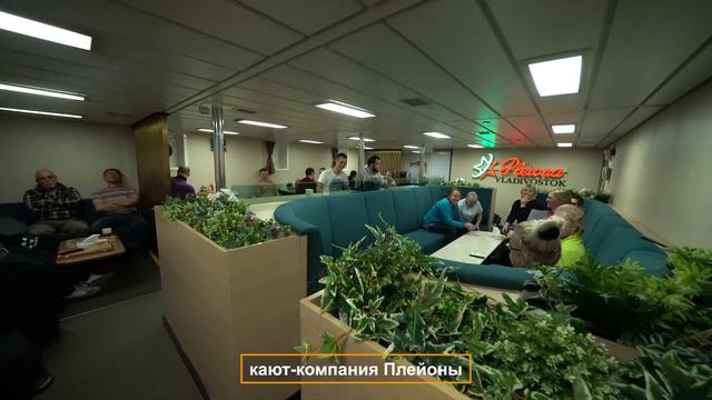 Плейона приглашение в путешествие