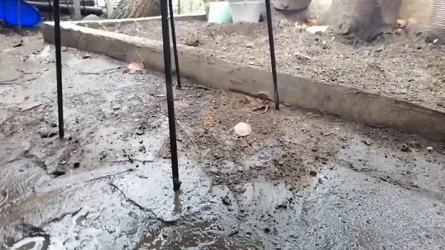 Делаем мебель обычной ручной пилой смотреть онлайн