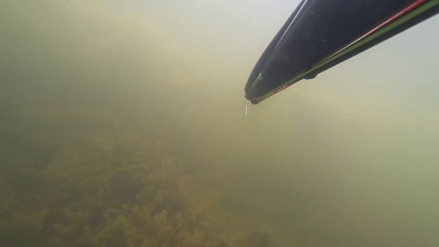 подводная охота в прозрачной воде. арбалет salvimar hero 75. веселовское водохранилище смотреть онлайн