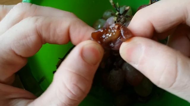 Что такое изюм?! Можно ли его есть?