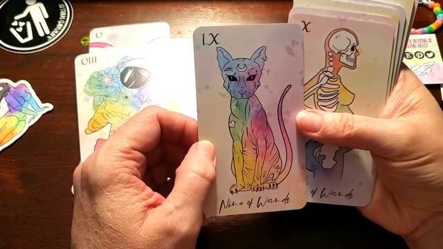 Mystic Garbage Tarot Unboxing and Walk Thru смотреть онлайн