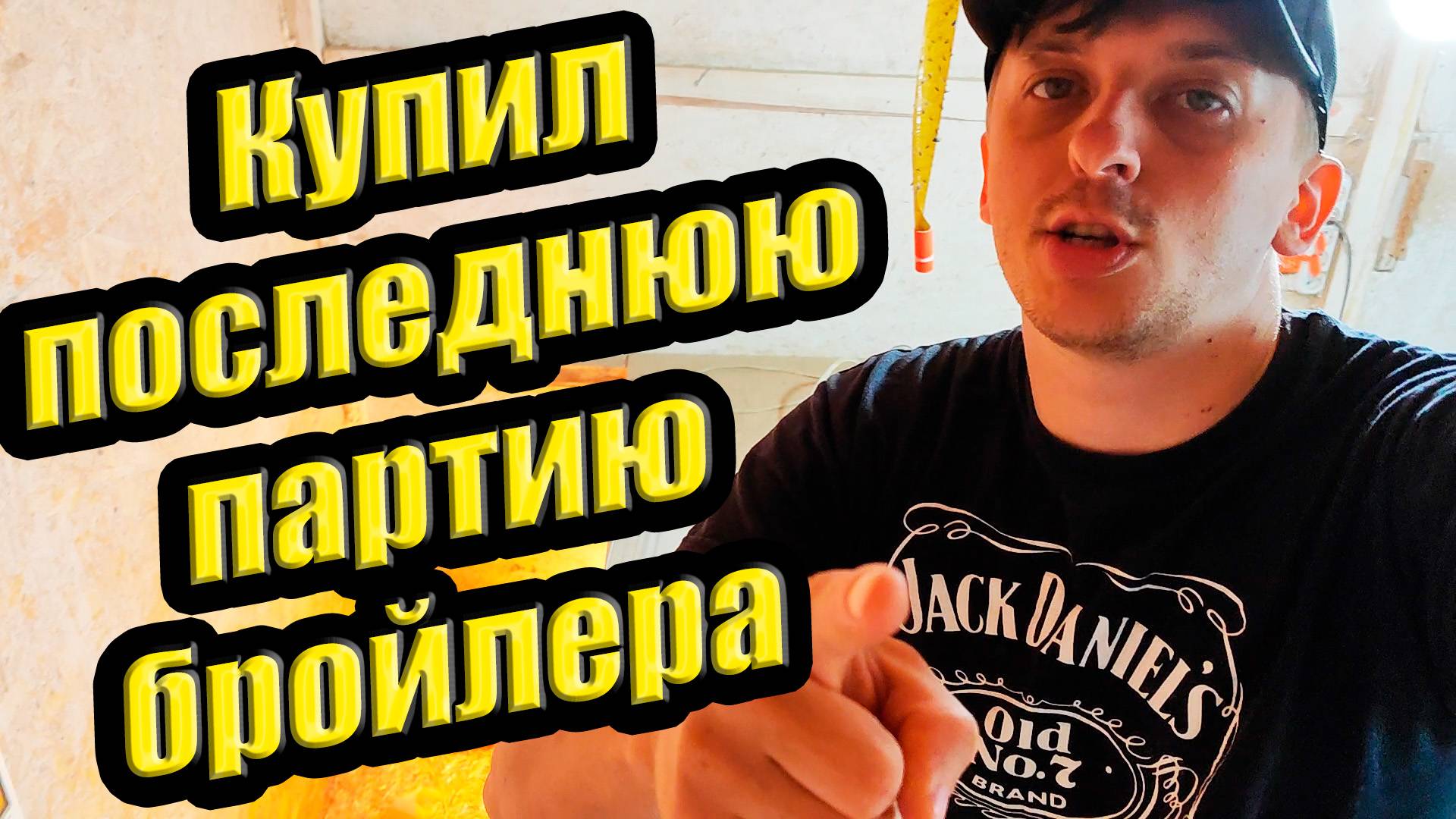 Купил последнюю партию бройлера смотреть онлайн