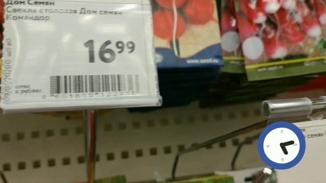 Обзор (семена, редиска, когда сеять) смотреть онлайн